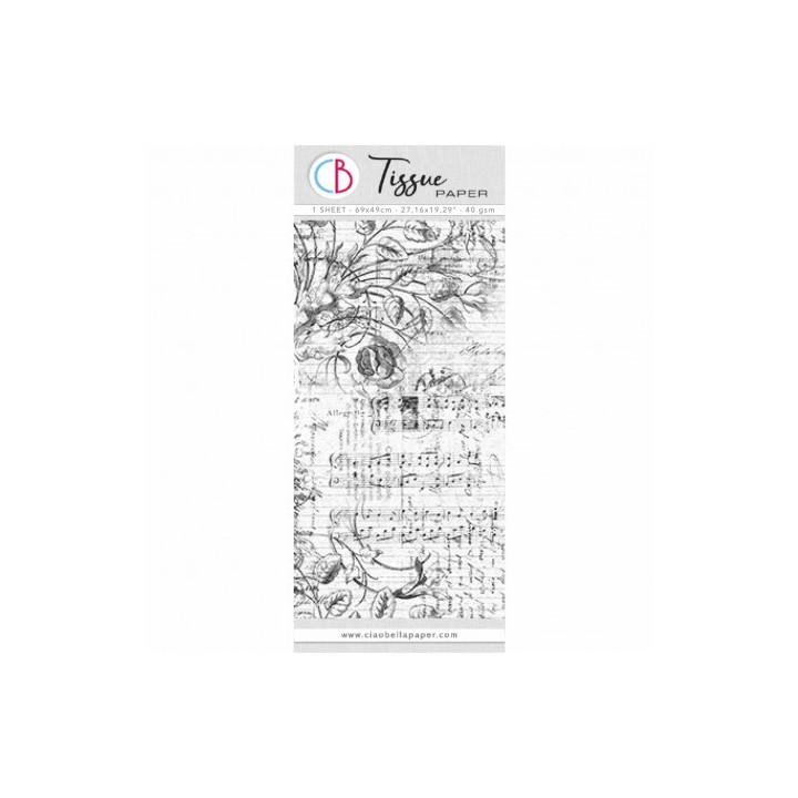 copy of 